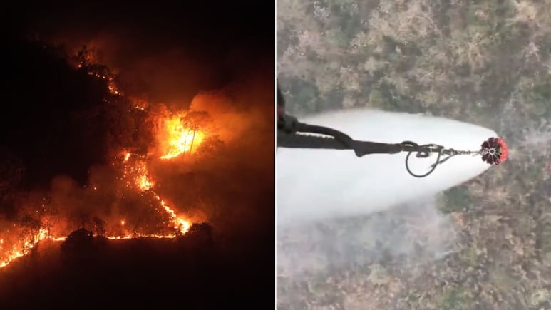 Video: Air Force Drops 66,000 Litres Of Water To Douse Arunachal Forest Fire