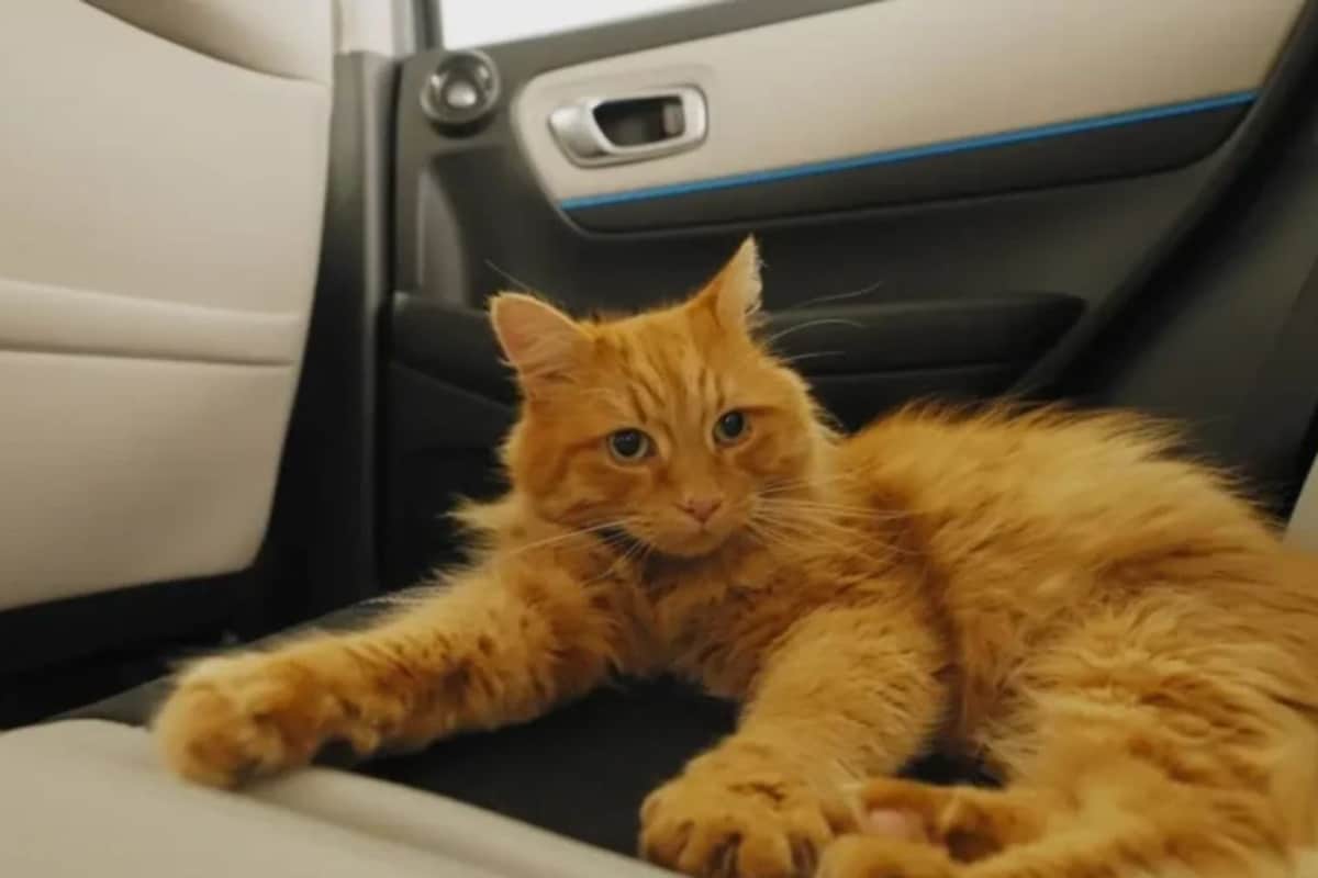 Latest and Breaking News on NDTV Latest and Breaking News on NDTV