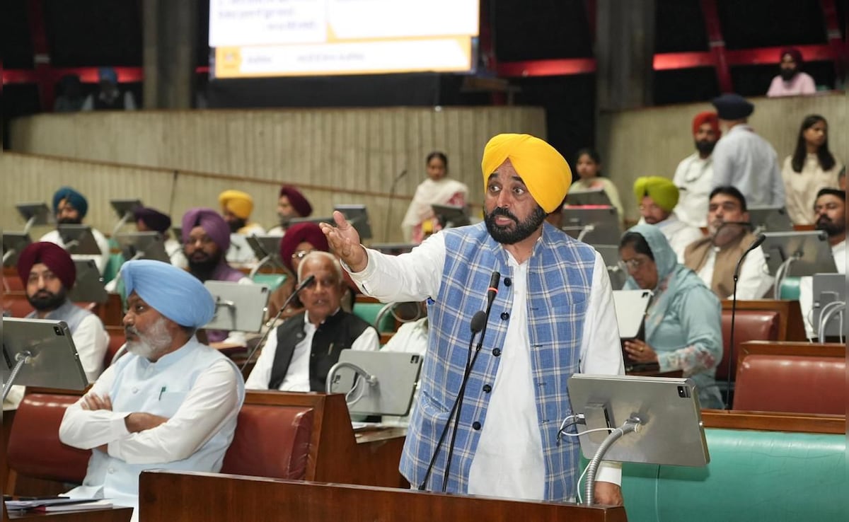 महिलाओं के लिए 1000 रुपये की घोषणा पर विपक्ष में निराशा, 2027 में फिर बनेगी AAP सरकार: CM भगवंत मान