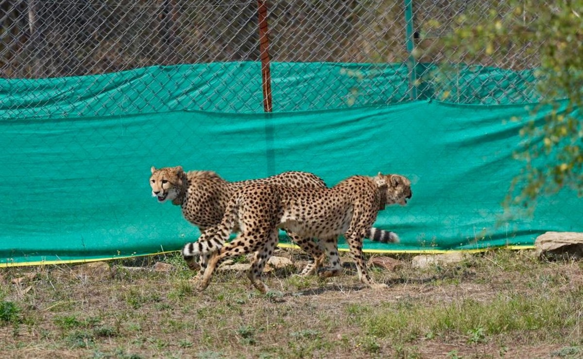 The Art of Baking: From Classic Bread to Artisan Pastries