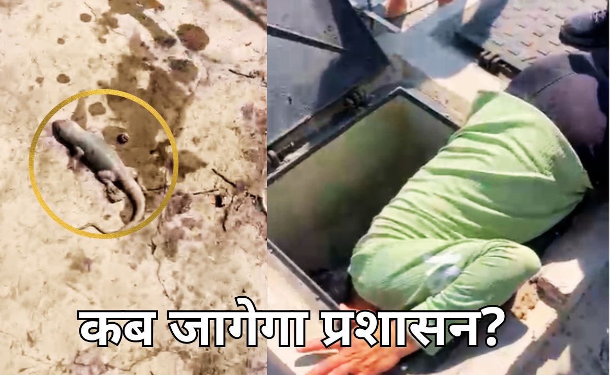 ग्वालियर नगर निगम की बड़ी लापरवाही, पीएम आवास वाटर टैंक में मरी मिली 5 छिपकलियां, दहशत में आया 1300 परिवार