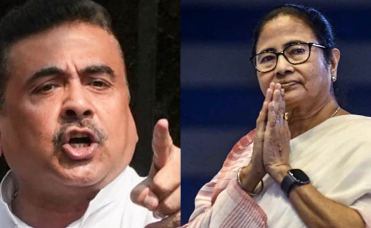 बंगाल चुनाव दो चरणों में होने से टीएमसी को क्यों राहत और बीजेपी को कैसे दिख रहा मौका?