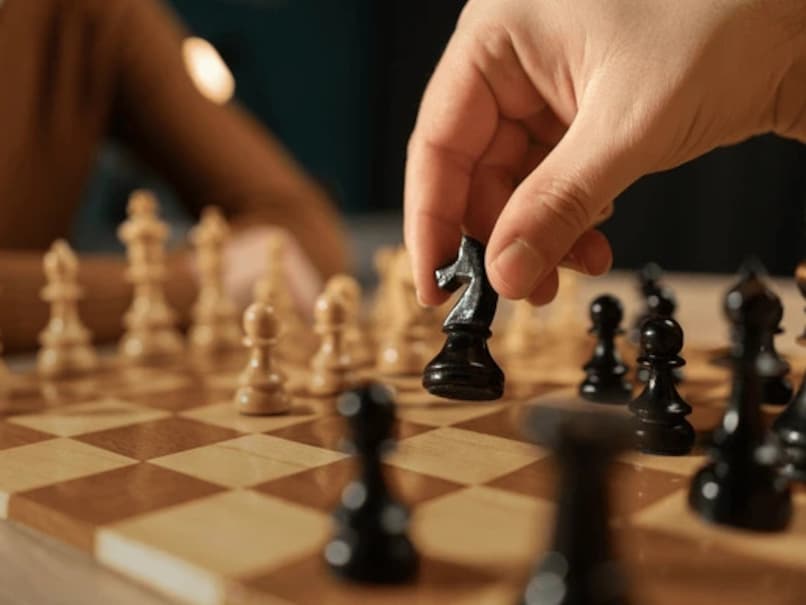 "Can't Be Surrounded By Warships": India Chess Great Koneru Humpy On Pulling Out Of Candidates