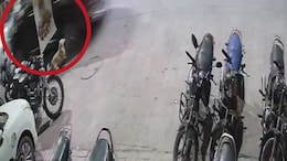 On CCTV, Speeding Scorpio Runs Over Two Men In Madhya Pradesh, 1 Dead