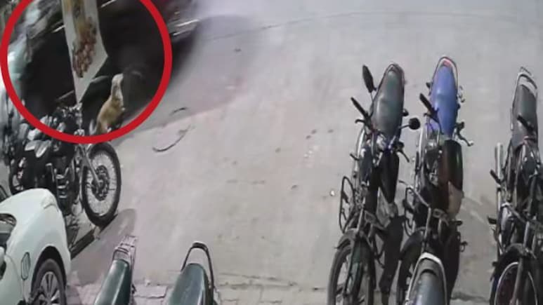 On CCTV, Speeding Scorpio Runs Over Two Men In Madhya Pradesh, 1 Dead