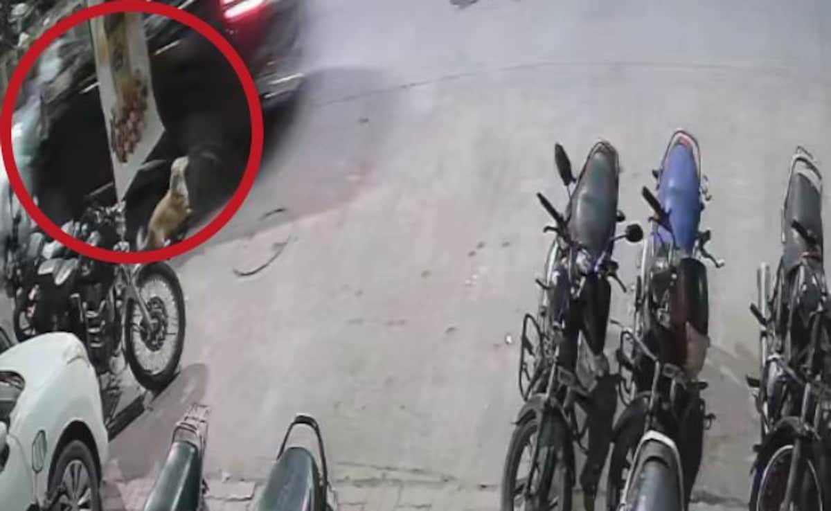 On CCTV, Speeding Scorpio Runs Over Two Men In Madhya Pradesh, 1 Dead