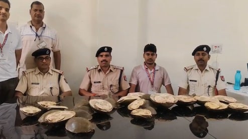 गया स्टेशन पर  RPF ने 28 जीवित कछुओं को किया बरामद,  सामान्य कोच में लावारिस बैगों में रखा था छिपाकर