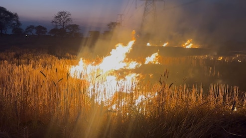 दुर्ग के खिलोरा खुर्द गांव में लगी भीषण आग: 150-200 एकड़ में धधकती रही, कई जानवर जले, 10 एकड़ में खड़ी फसल भी जलकर खाक