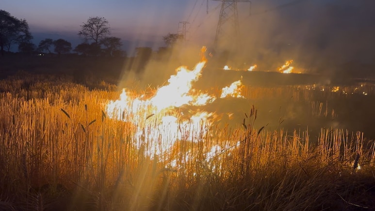 दुर्ग के खिलोरा खुर्द गांव में लगी भीषण आग: 150-200 एकड़ में धधकती रही, कई जानवर जले, 10 एकड़ में खड़ी फसल भी जलकर खाक