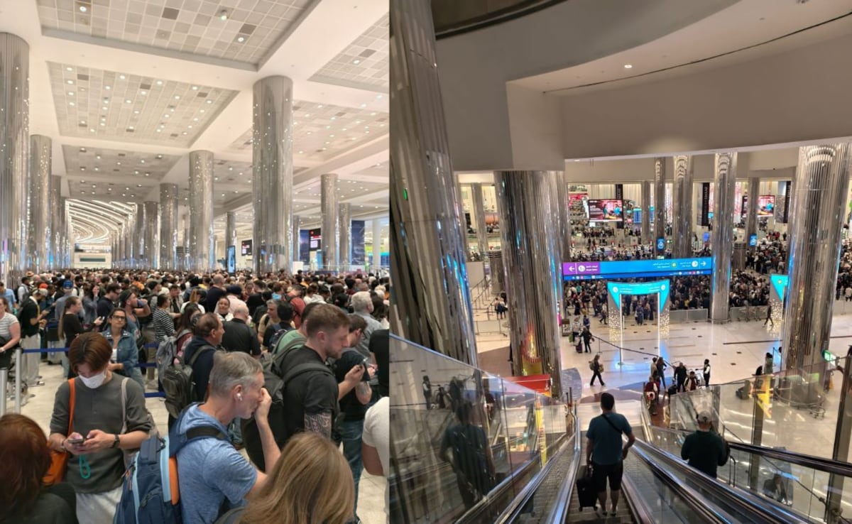 The Art of Baking: From Classic Bread to Artisan Pastries