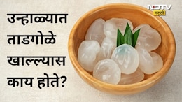 Tadgola Summer Fruit: उन्हाळ्यात ताडगोळे खाल्ल्यास काय होते? कधी खावे आणि कोणी खाऊ नये? डॉ रुचा यांनी दिली मोठी माहिती