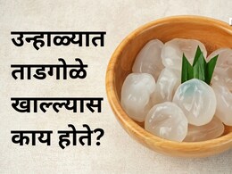 Tadgola Summer Fruit: उन्हाळ्यात ताडगोळे खाल्ल्यास काय होते? कधी खावे आणि कोणी खाऊ नये? डॉ रुचा यांनी दिली मोठी माहिती