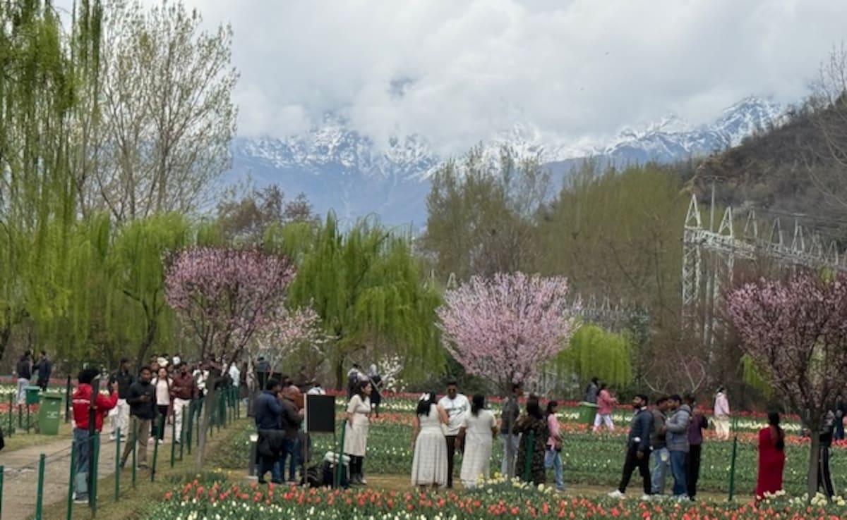 Latest and Breaking News on NDTV