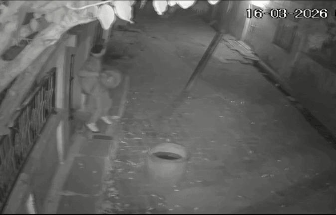 VIDEO: एलपीजी किल्लत के बीच गैस सिलेंडर की चोरी, जेवर-नगदी के साथ सिलेंडर उठा ले गया चोर