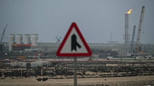 Qatar's LNG Exports Disrupted For 5 Years In Iran War: These Nations Impacted