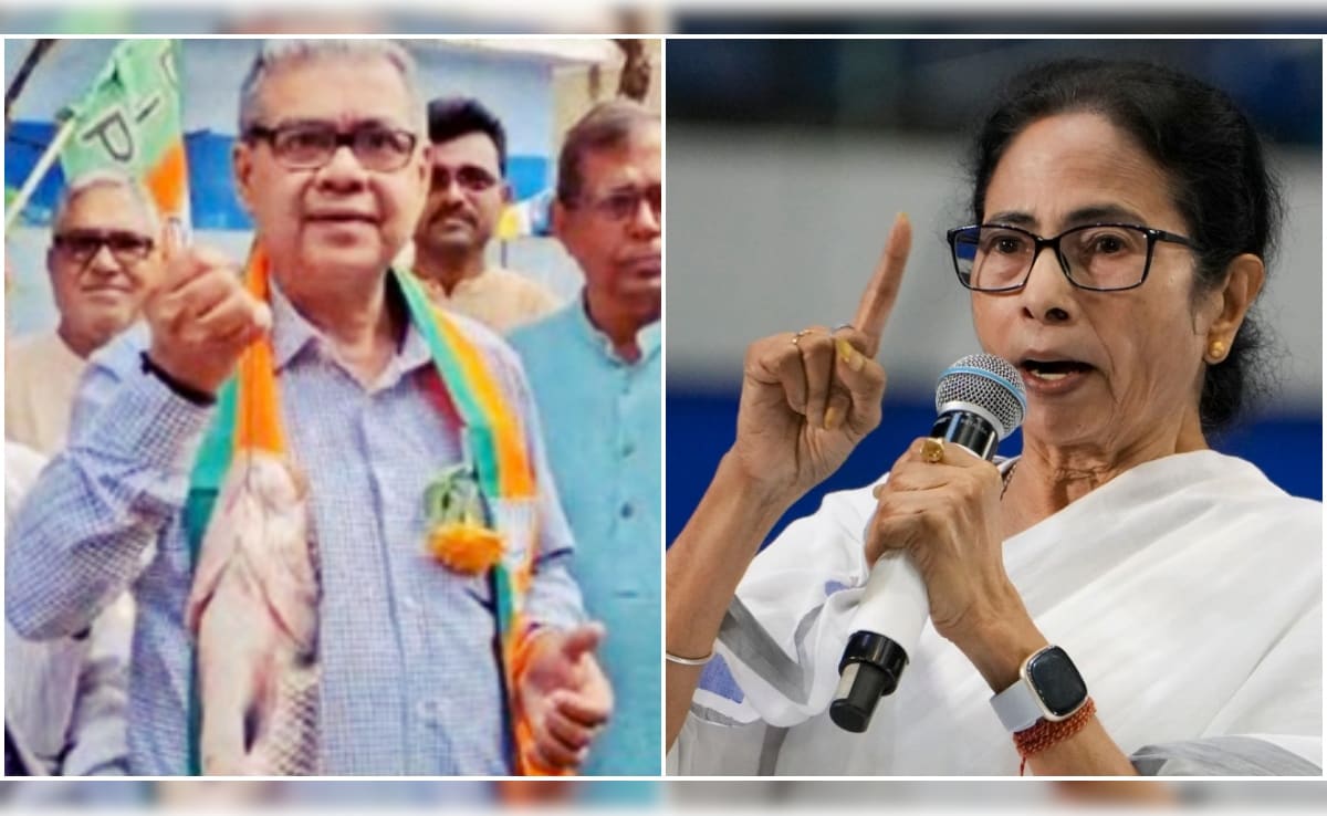 मछली पर महासंग्राम... बंगाल में दीदी के 'बैन' वाले दांव पर BJP का 'फिश' कैंपेन वाला तड़का