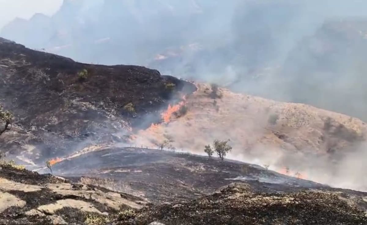 Latest and Breaking News on NDTV