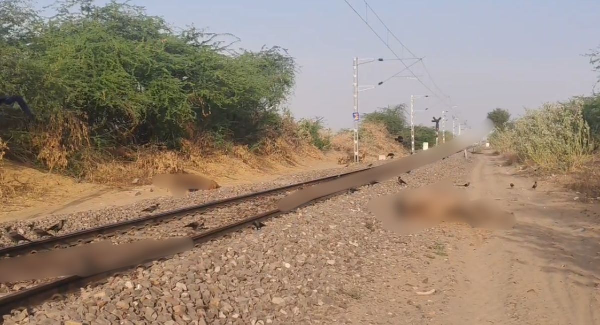 रेल की चपेट में आने से 6 ऊंटों की मौत, 2 ऊंट इंजन में फंस गए; आधे घंटे ट्रैक पर खड़ी रही ट्रेन