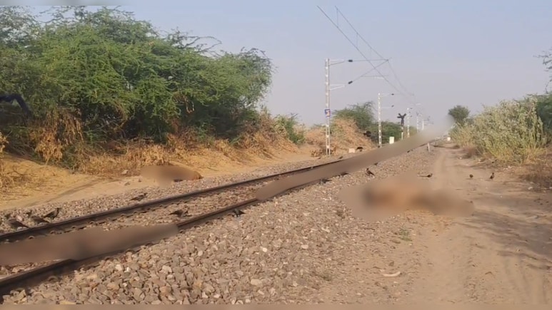 रेल की चपेट में आने से 6 ऊंटों की मौत, 2 ऊंट इंजन में फंस गए; आधे घंटे ट्रैक पर खड़ी रही ट्रेन &nbsp;