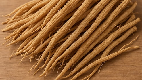 महिलाओं की सेहत के लिए बहुत फायदेमंद मानी जाती है यह जड़ी-बूटी, पीरियड्स से लेकर प्रेगनेंसी तक करती है मदद