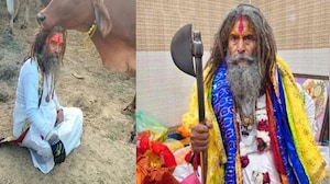 Cow Vigilante Dies After Being Hit By A Truck In Mathura