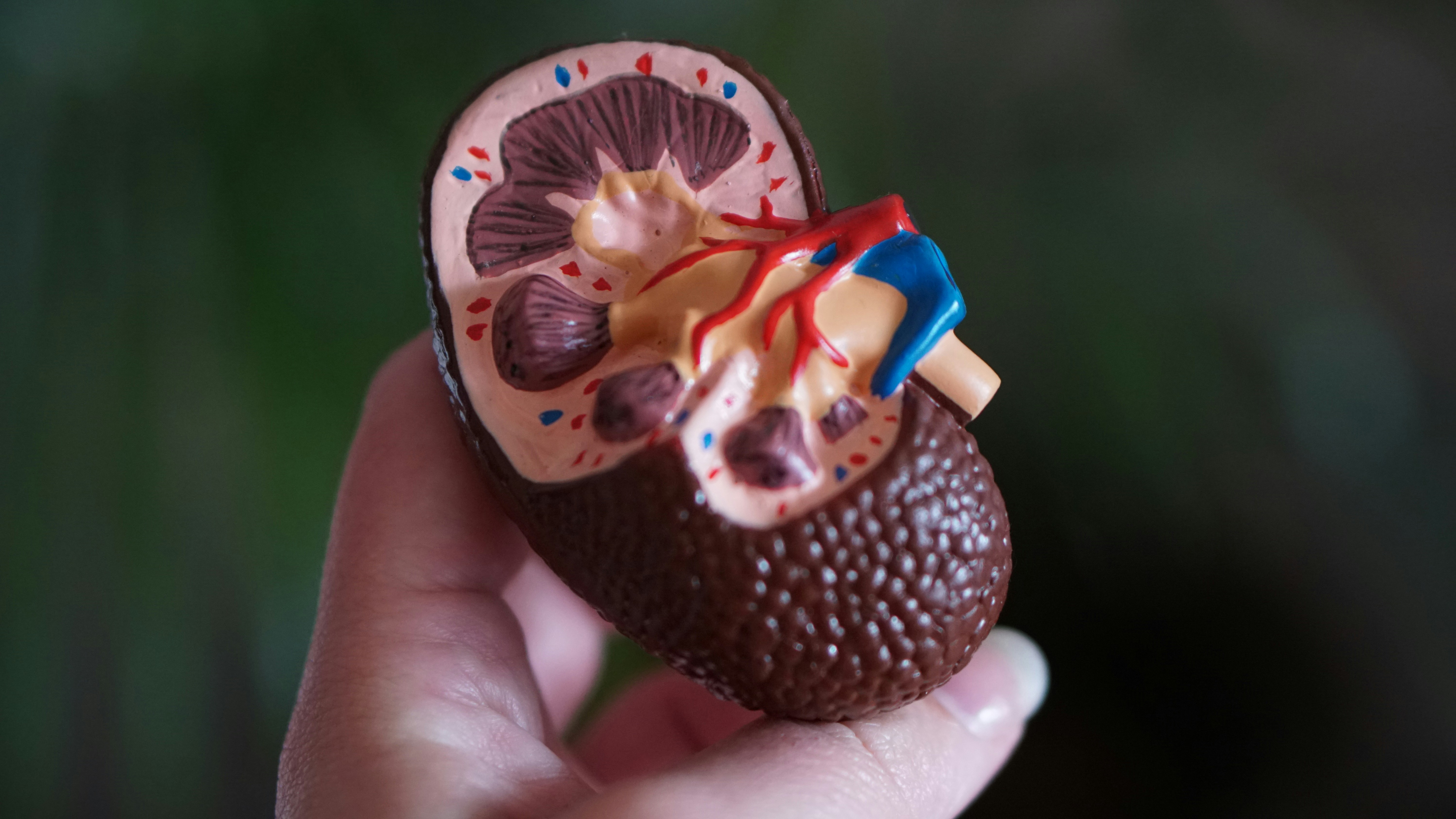 Once-daily pill called finerenone helped slow the decline in kidney function