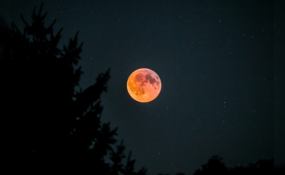 Latest and Breaking News on NDTV