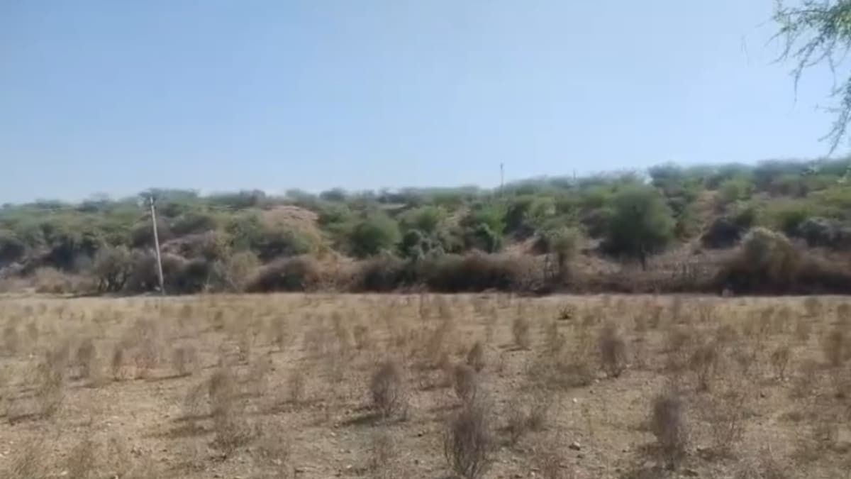 झुंझुनूं में चल रही है खुदाई