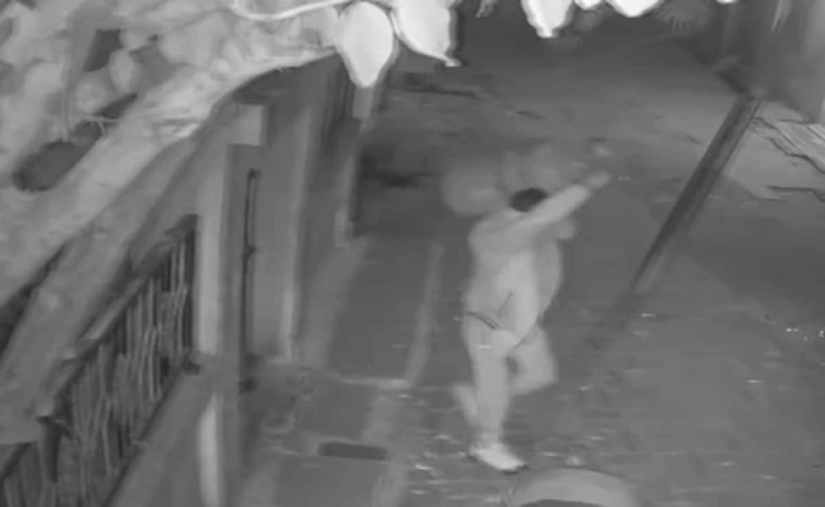 The Art of Baking: From Classic Bread to Artisan Pastries