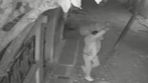 On Camera, Thief Steals LPG Cylinder, Jewellery In Madhya Pradesh's Shivpuri