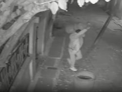 On Camera, Thief Steals LPG Cylinder, Jewellery In Madhya Pradesh's Shivpuri