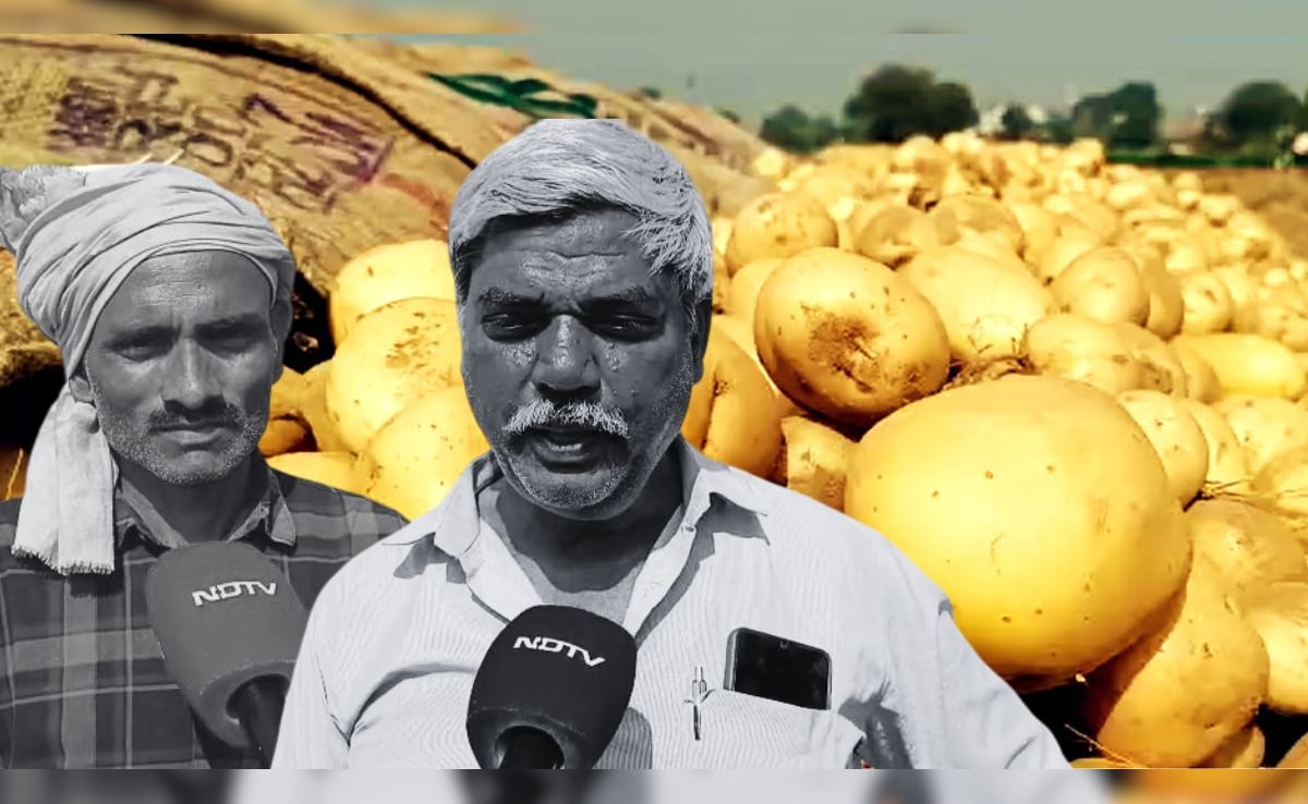 Exclusive: बंपर पैदावार, मंडियां भी खुलीं... फिर भी आलू को नहीं मिल रहा 'भाव', किसानों की आपबीती
