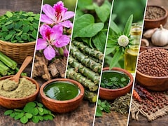 Explainer: महंगे सुपरफूड्स छोडिए, गांव की इन 5 जड़ी बूटियों में छिपा है सेहत का अलसी खजाना और फायदों की भरमार