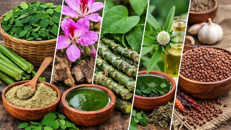 Explainer: महंगे सुपरफूड्स छोड़िए, गांव की इन 5 जड़ी बूटियों में छिपा है सेहत का अलसी खजाना और फायदों की भरमार