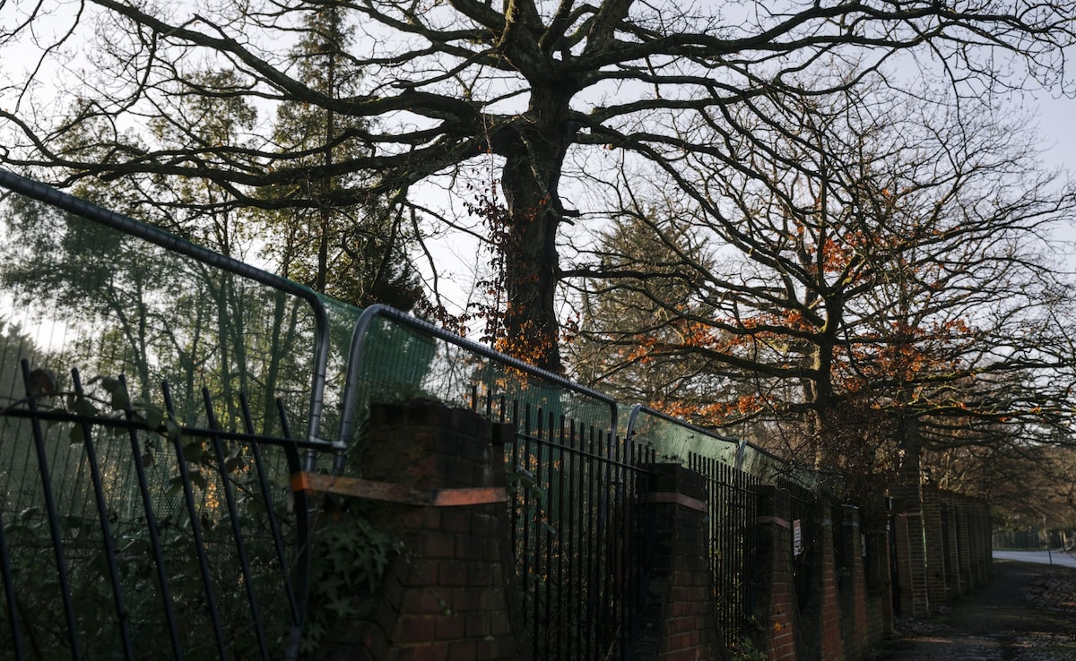 Latest and Breaking News on NDTV