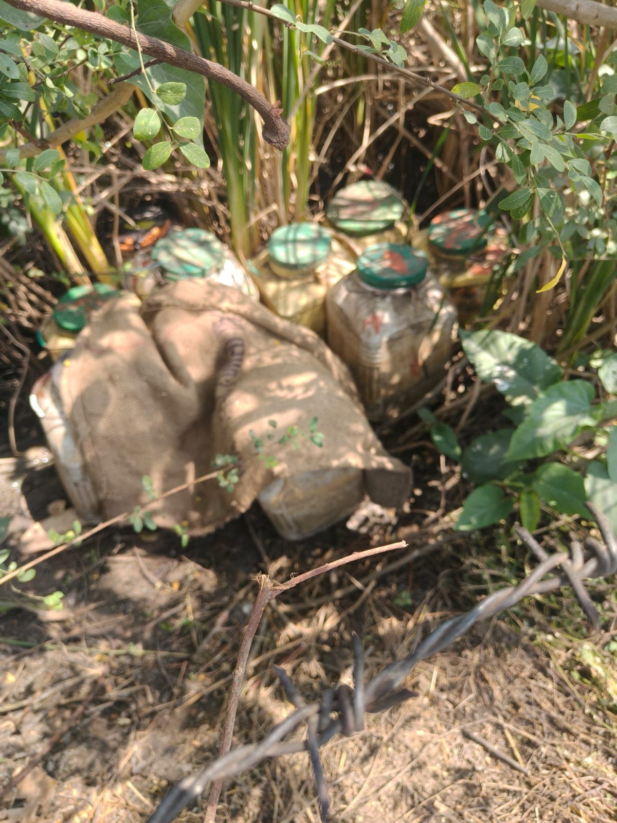 Bilaspur News: झाड़ियों में छिपी लाहन