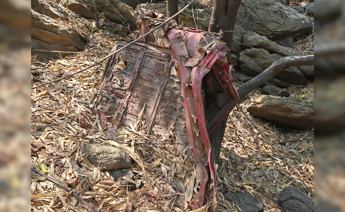 Latest and Breaking News on NDTV