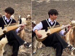 पहाड़ों में &lsquo;कल हो ना हो&rsquo; की धुन बजा रहा था म्यूजीशियन, सुनते ही इकट्ठा हो गईं भेड़ें, फिर जो हुआ... जादुई था