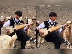 पहाड़ों में ‘कल हो ना हो’ की धुन बजा रहा था म्यूजीशियन, सुनते ही इकट्ठा हो गईं भेड़ें, फिर जो हुआ... जादुई था