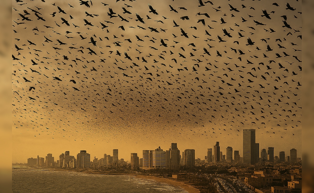 तेल अवीव के आसमान में मंडरा रहे हैं हजारों कौए! जंग के बीच वायरल इस खौफनाक वीडियो का 'कड़वा सच'