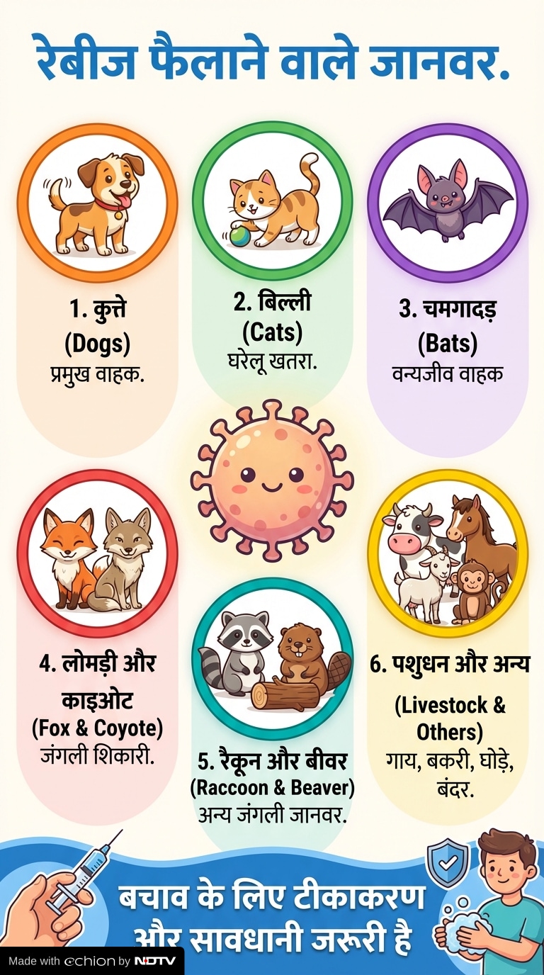 Latest and Breaking News on NDTV