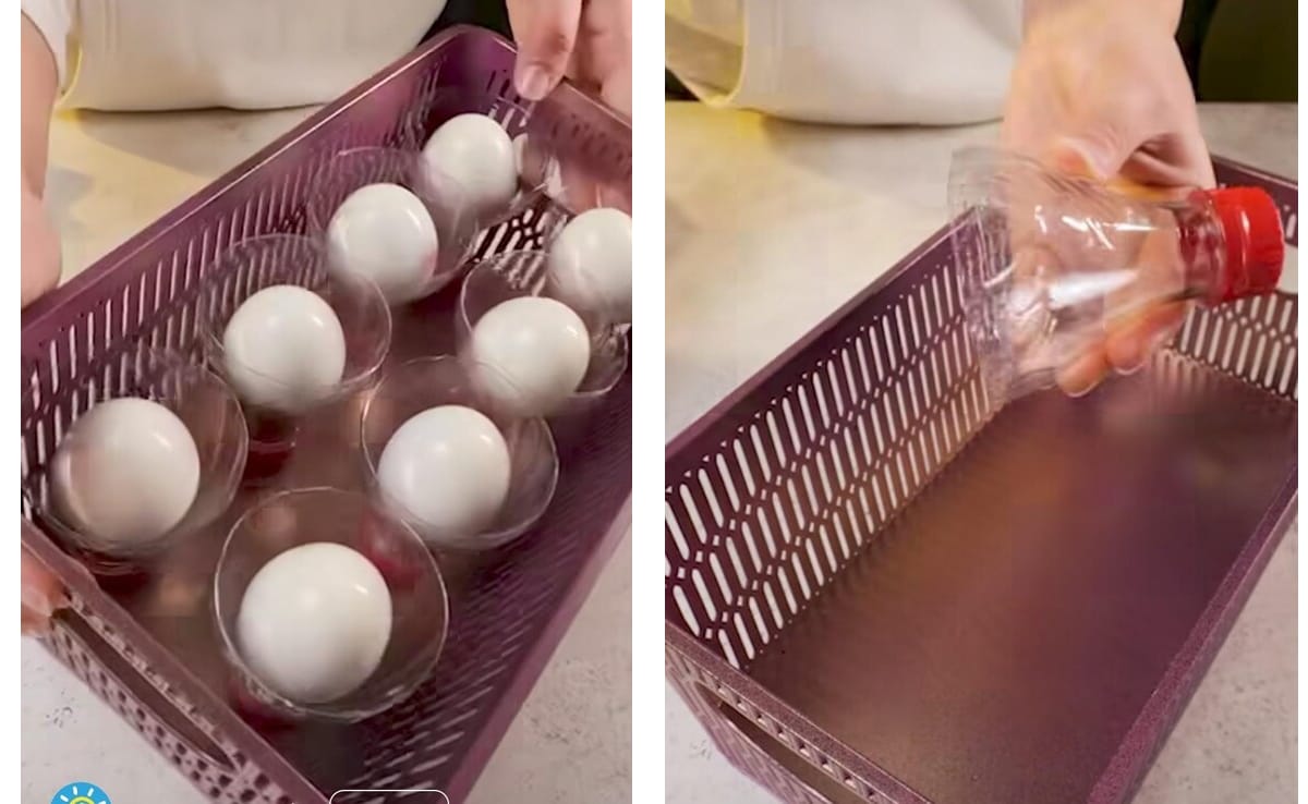 खाली कोल्ड ड्रिंक की बोतल को फेंकें नहीं, मिनटों में बनाएं शानदार Egg Pot, देखें आसान तरीका