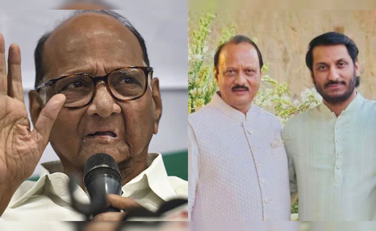 Different Generations, Opposite Camps: 2 Pawars Set To Be Rajya Sabha MPs