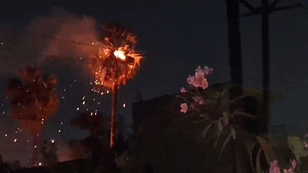 VIDEO: महाराष्ट्र में आसमानी बिजली का कहर, नारियल पेड़ बना आग का गोला, पलभर में हुआ राख