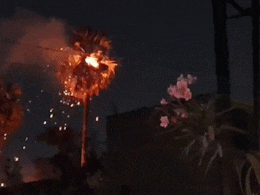 VIDEO: बिजली गिरी और धू-धू कर जलने लगा पेड़, बारिश के बीच अनोखा नजारा, हर कोई हैरान