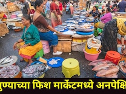 Pune News : पुण्यातील फिश मार्केटमध्ये झालाय मोठा बदल! 'हा' मासा विकला जातोय प्रति किलो 1900 रुपये, कारण..