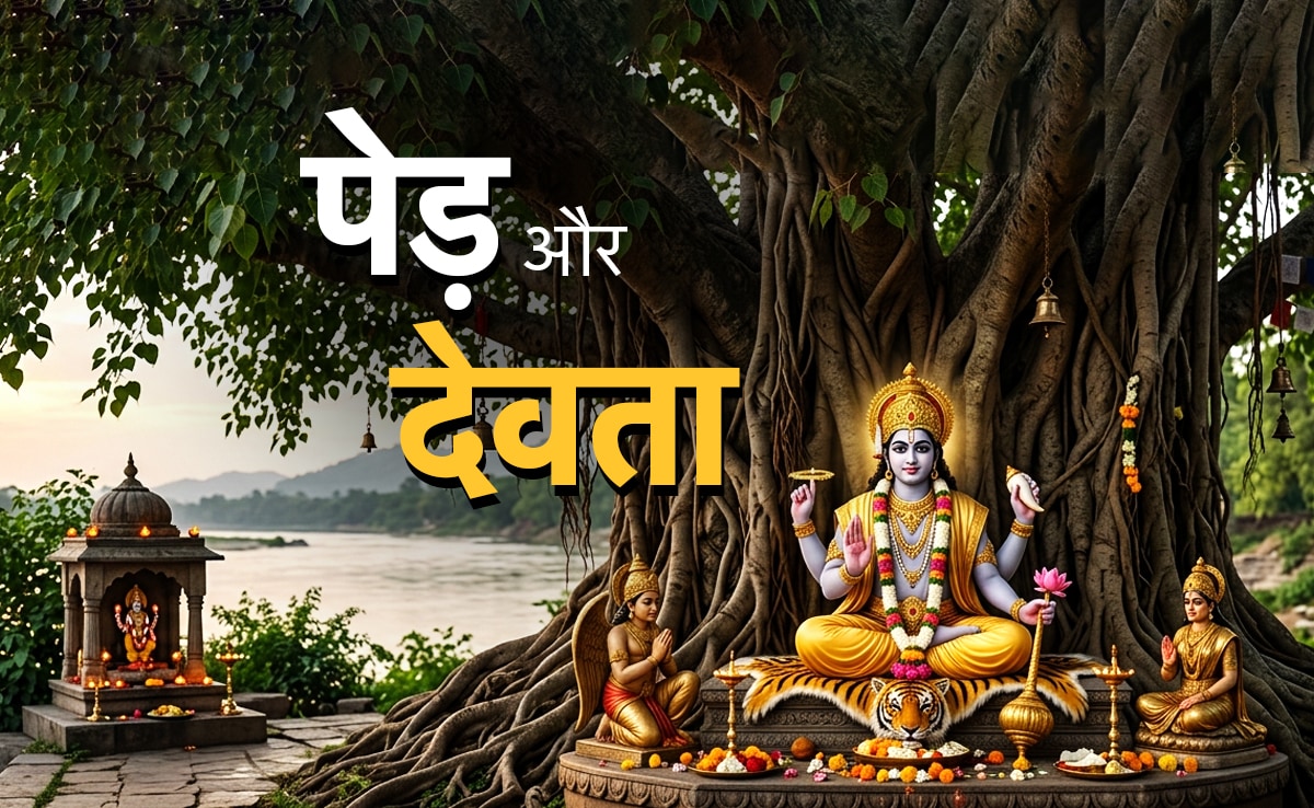 God related Trees: किस पेड़ की पूजा करने पर ​आखिर किस देवता का मिलता है आशीर्वाद?
