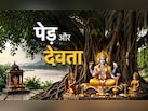 God related Trees: आस्था से जुड़े किन पेड़-पौधों पर होता है देवी-देवताओं का वास? जानें सिर्फ एक क्लिक में