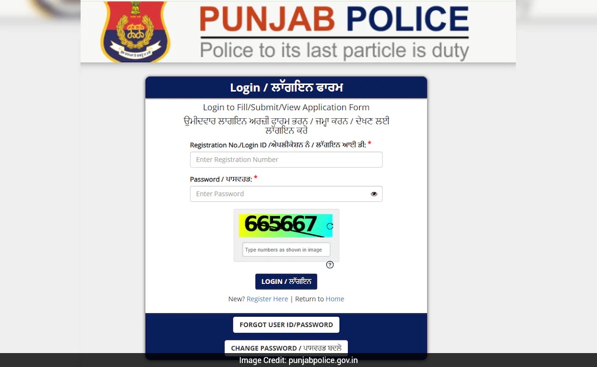 The Art of Baking: From Classic Bread to Artisan Pastries