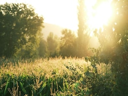 Weather Update: मध्य प्रदेश-छत्तीसगढ़ में गर्मी ने दिखाए तेवर, पारा 38 डिग्री के पार... दो दिन में और बढ़ेगा तापमान